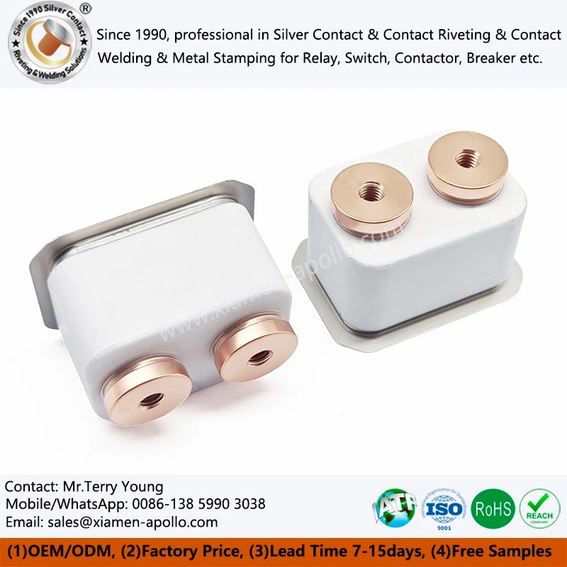 Alumina Metallized Ceramics Alumina Metallized Ceramics