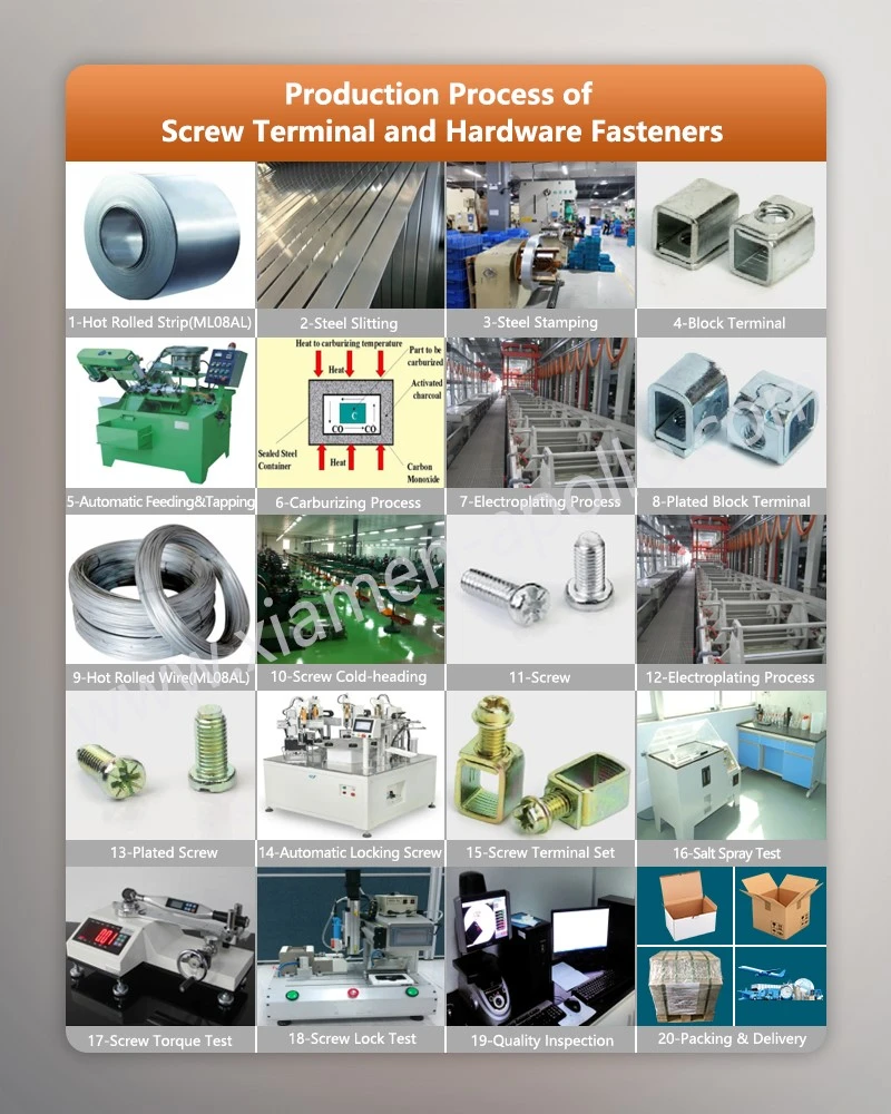 Production Process of Screw Terminal and Spade Head Thumb Screws with Shoulder Production Process of Screw Terminal and Spade Head Thumb Screws with Shoulder