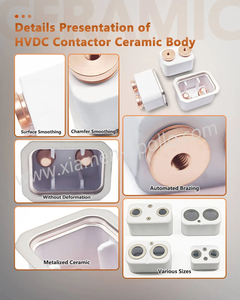 Details Presentation of Metalized Ceramic Alumina Insulator Details Presentation of Metalized Ceramic Alumina Insulator